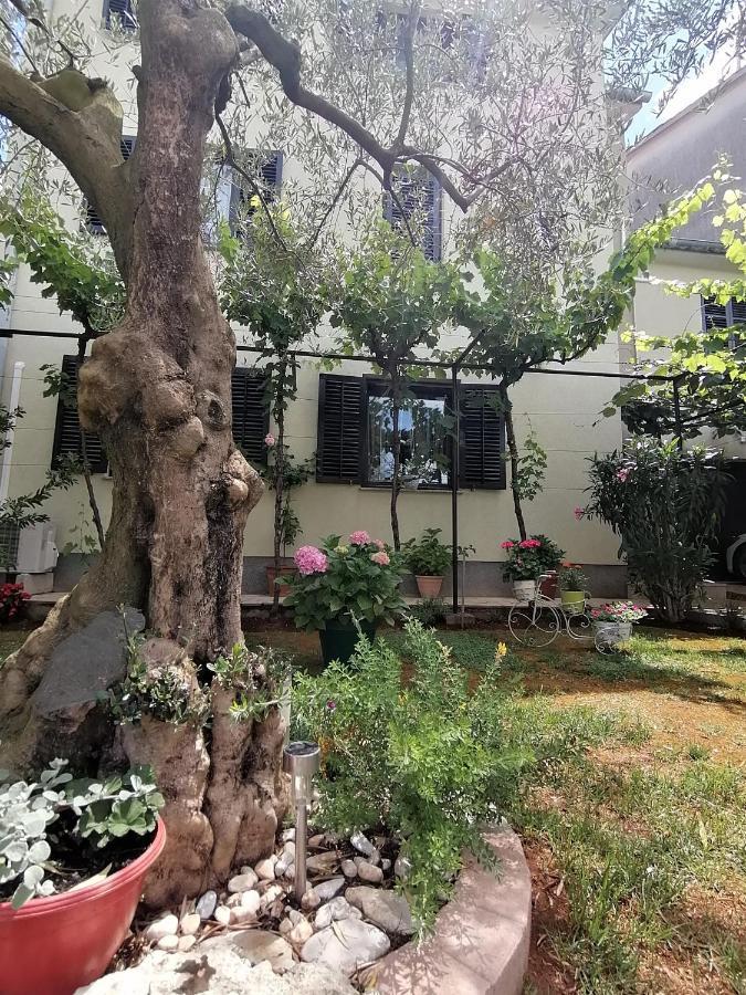 Apartment Oliva Πούλα Εξωτερικό φωτογραφία