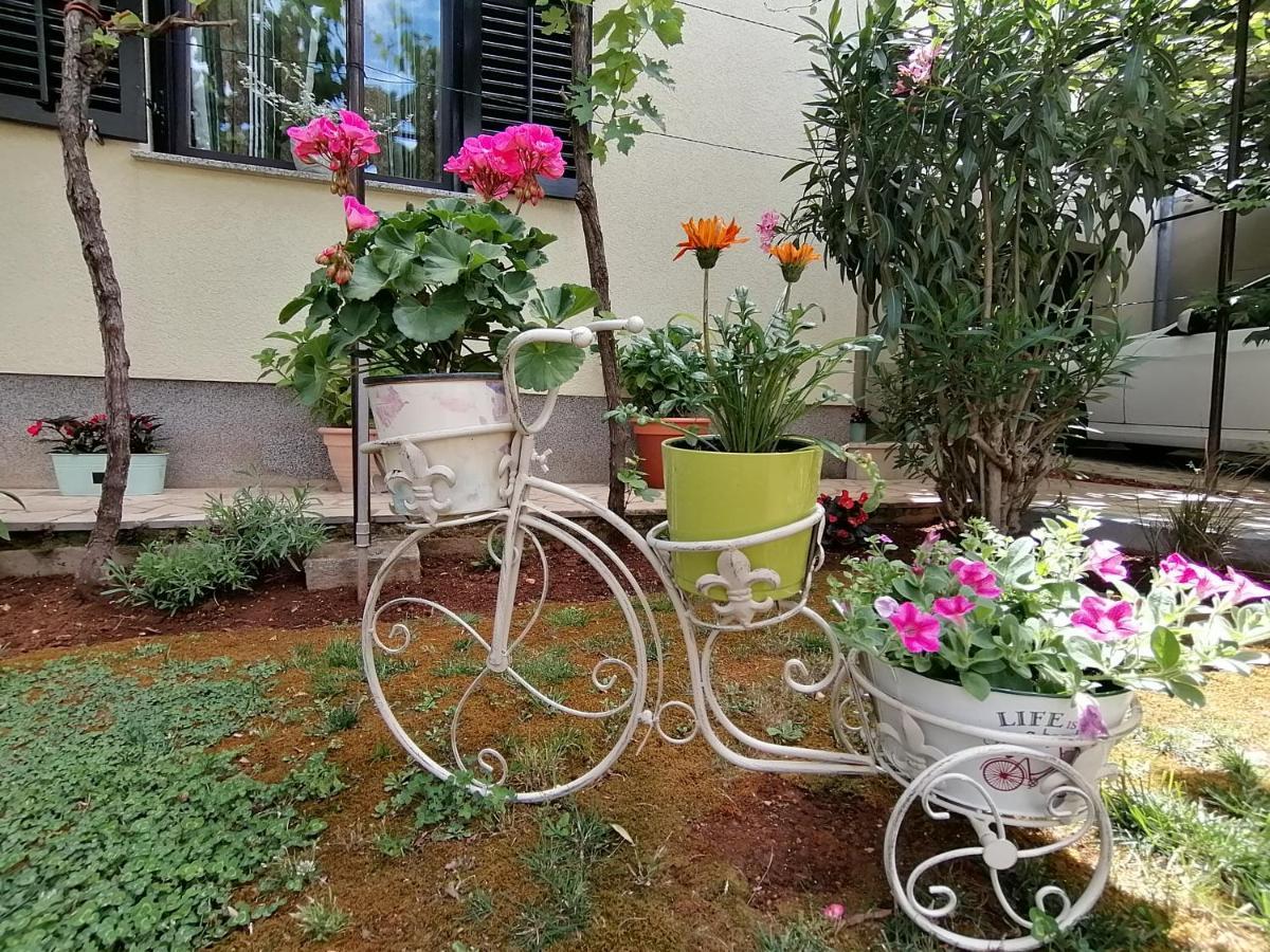 Apartment Oliva Πούλα Εξωτερικό φωτογραφία